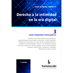 Derecho a la intimidad en la intimidad, vol 3